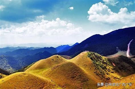 廣西十萬大山|十萬大山山脈:簡介,山脈概況,地質特點,氣候特徵,生物資源,